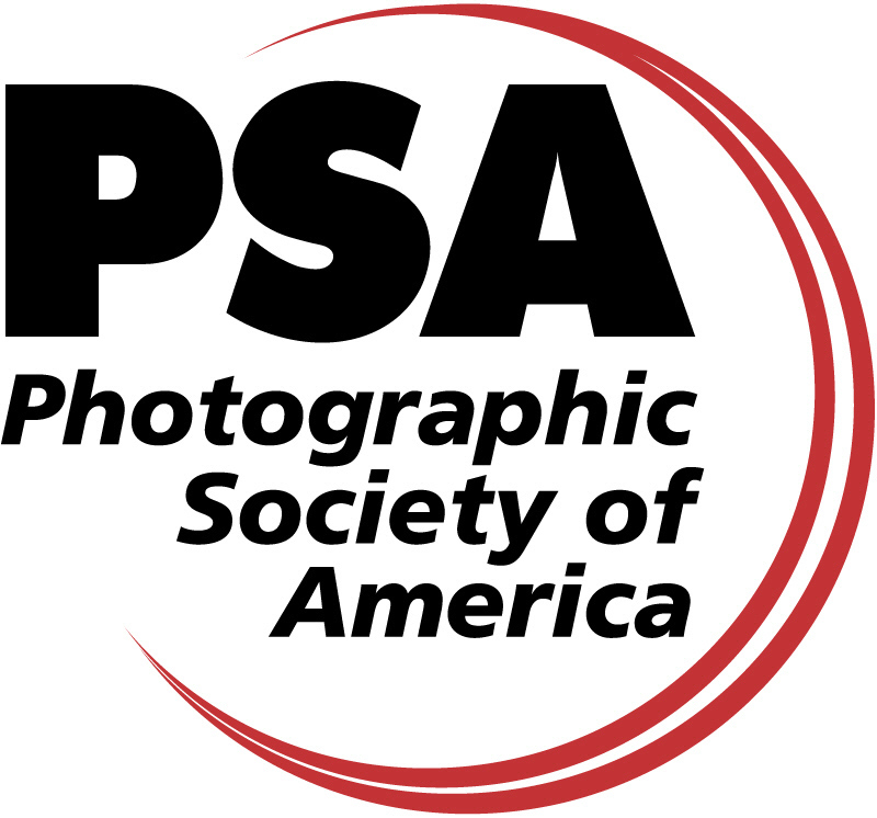 PSA Logo